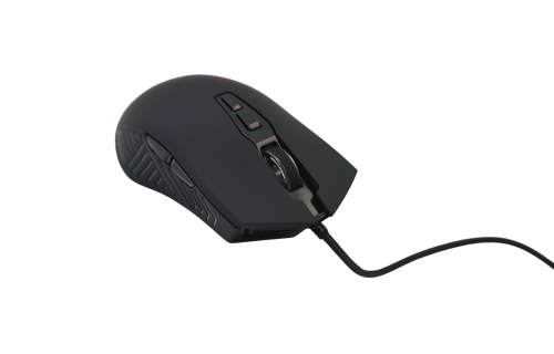 computer mouse