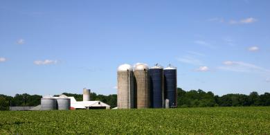 Vegetable/grain farm in rural New Jersey, USA . Outbuildings and silos at the end of the fields. New Jersey is also known as The Garden State.