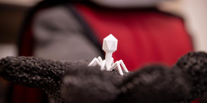 Barry the Baron holding a 3D printed model of a bacteriophage.
