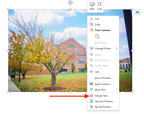 Example of how to insert alt text to an image in Microsoft Word