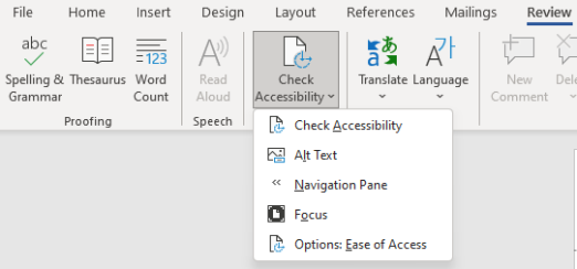Example of Microsoft word accessibility checker