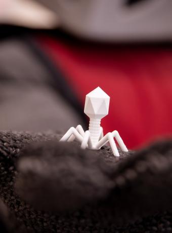 Barry the Baron holding a 3D printed model of a bacteriophage.